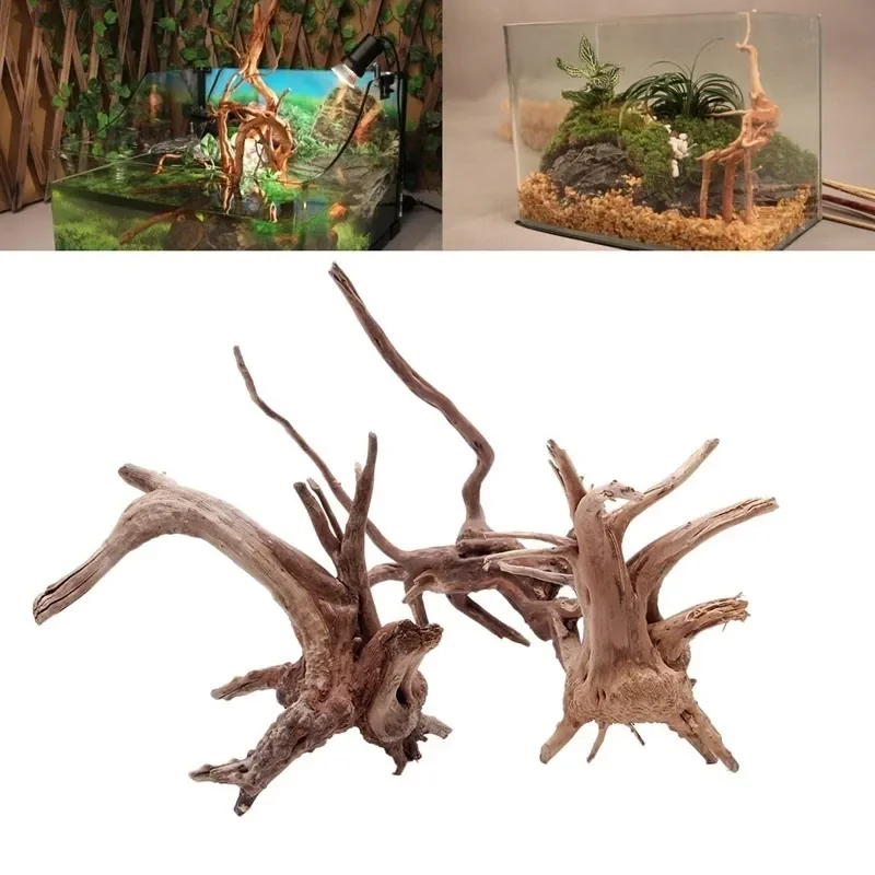 Aquarium Plant Rings - Tronco de árbol Natural de madera