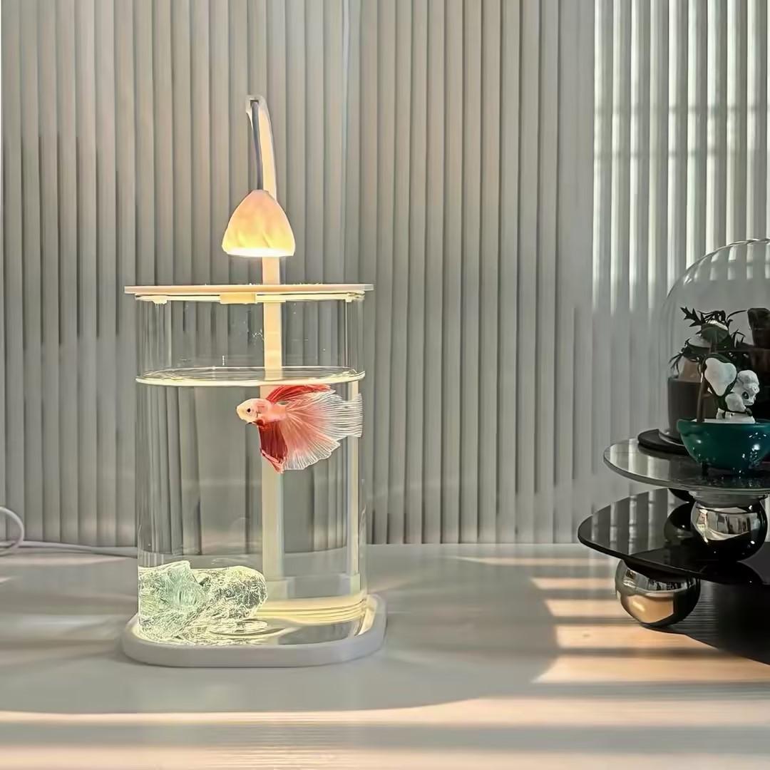 Planted Aquarium Betta - 360 ° Pecera Panorámica Transparente de