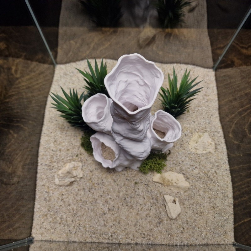 Planted Aquarium Betta - Oferta Especial: Decoración Impresa en 3D