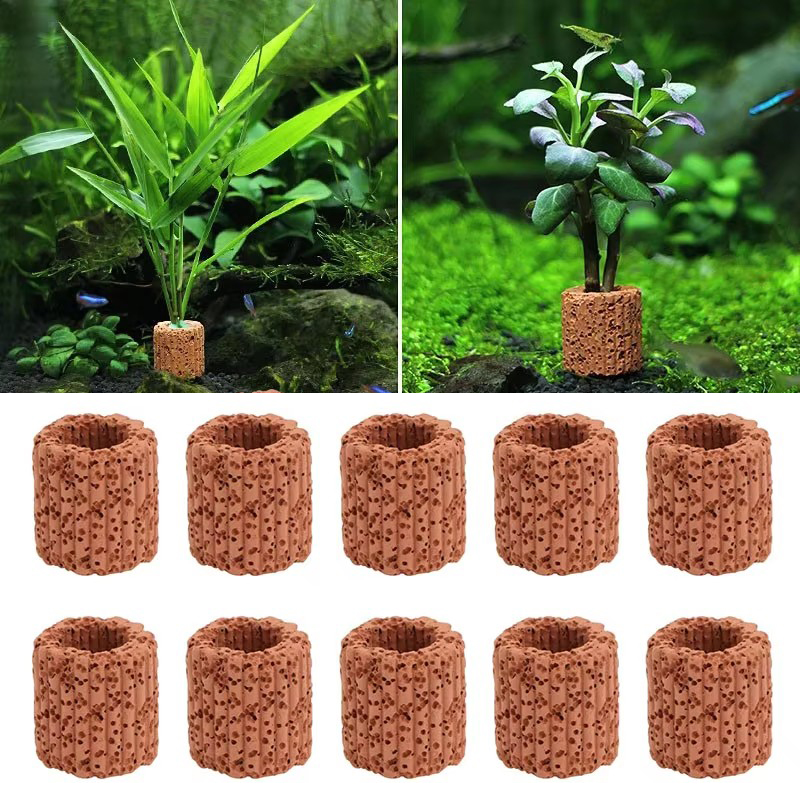 Aquarium Plant Rings - Anillo fijo para plantas acuáticas, para
