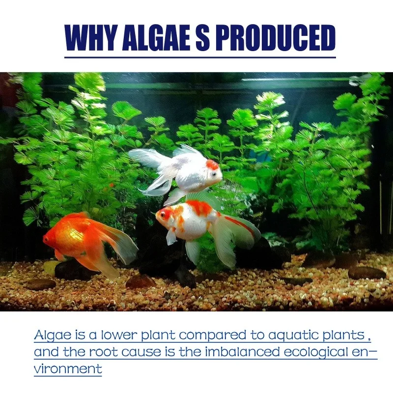 Algaecida de Alta Eficiencia d - Planted Aquarium Algae reseña y precio