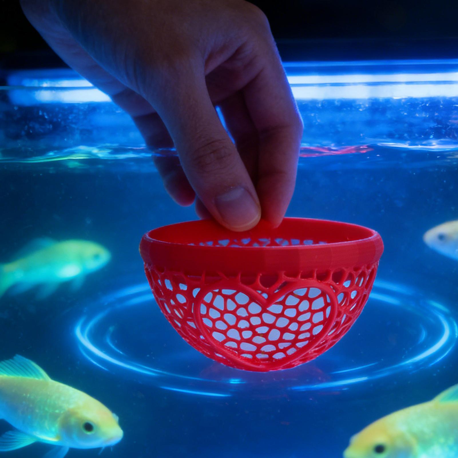 Refugio flotante para betta, h - Planted Aquarium Betta reseña y precio