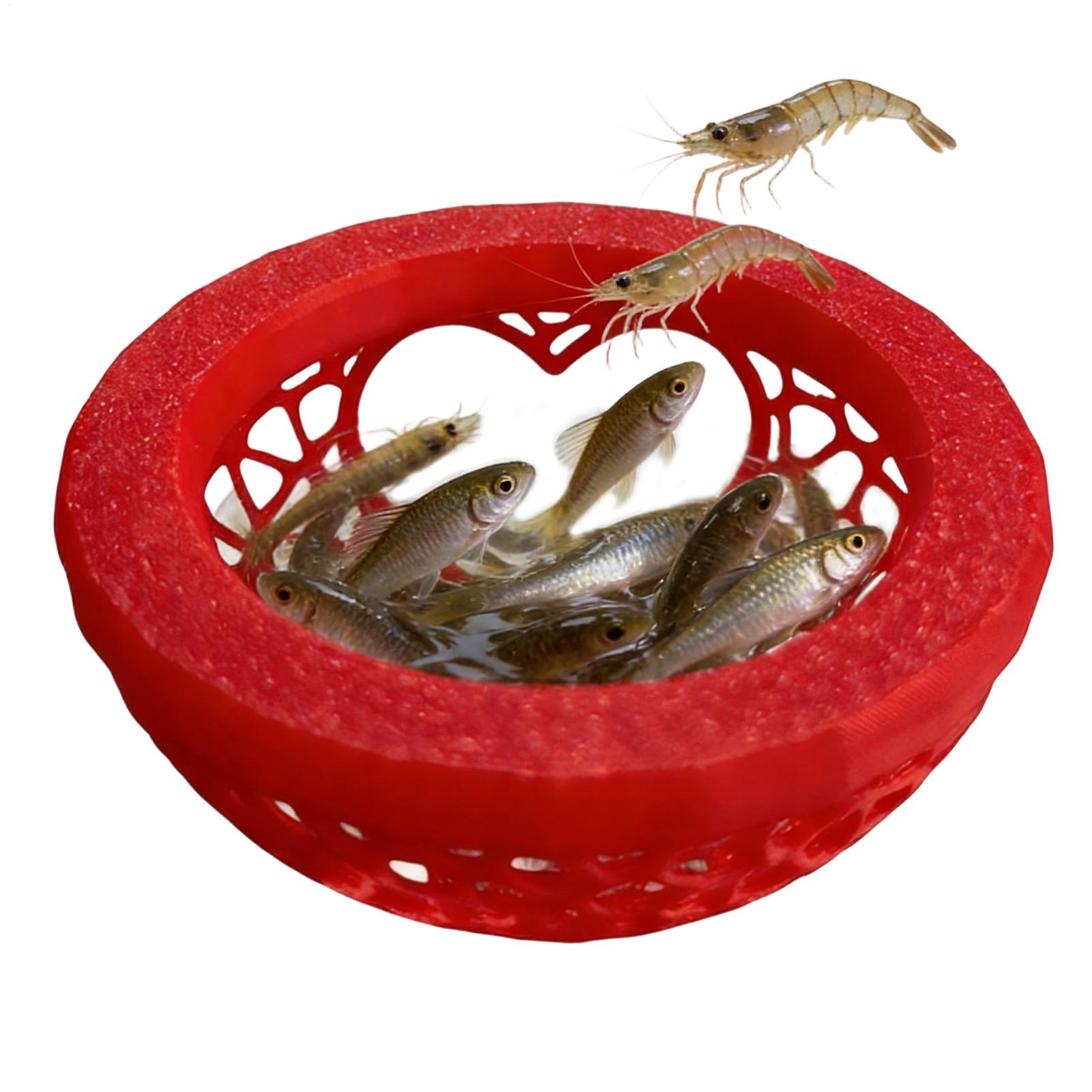 Refugio flotante para betta, h - Planted Aquarium Betta reseña y precio