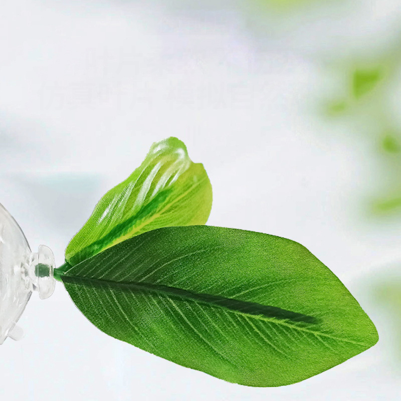 Hamaca de hoja verde para pece - Planted Aquarium Betta reseña y precio