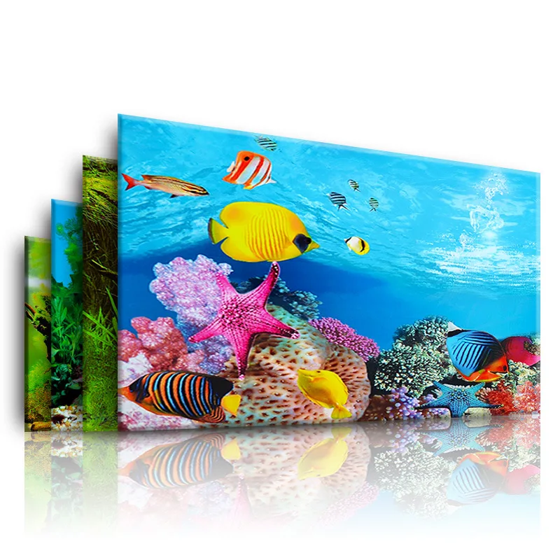 Fondo para acuario, pegatina 3 - Planted Aquarium Aquascape reseña y precio