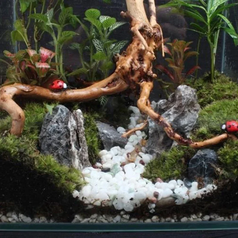 Tronco de árbol Natural de mad - Aquarium Plant Rings reseña y precio