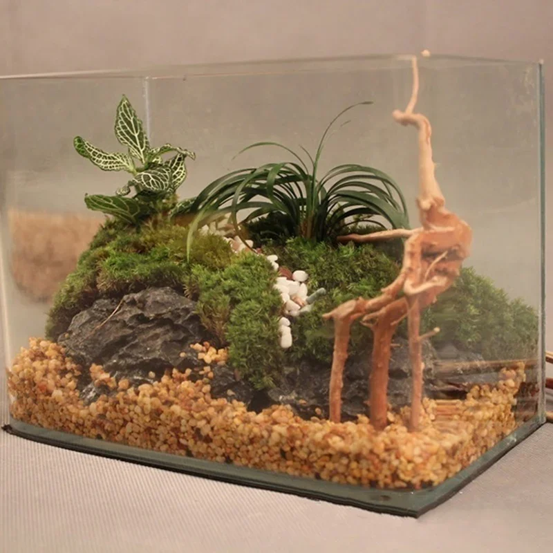 Tronco de árbol Natural de mad - Aquarium Plant Rings reseña y precio