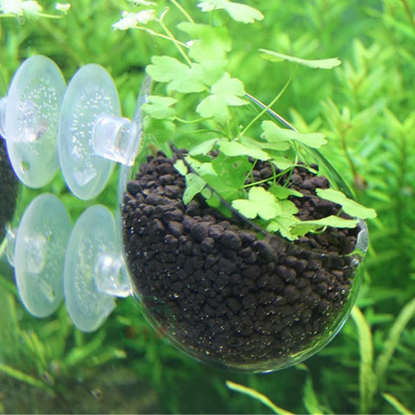 Soporte para Plantas de Acuari - Planted Aquarium Aquascape reseña y precio