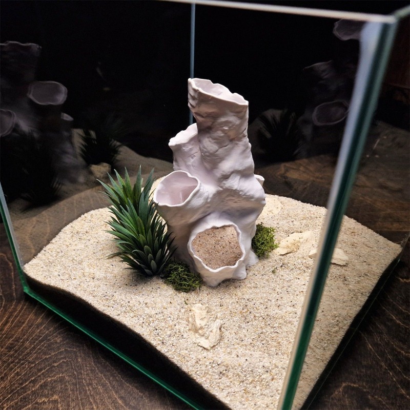 Oferta Especial: Decoración Im - Planted Aquarium Betta reseña y precio