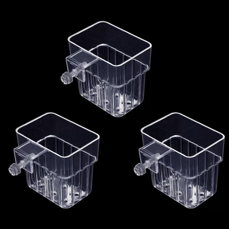 Soporte Transparente para Plan - Planted Aquarium Aquascape reseña y precio