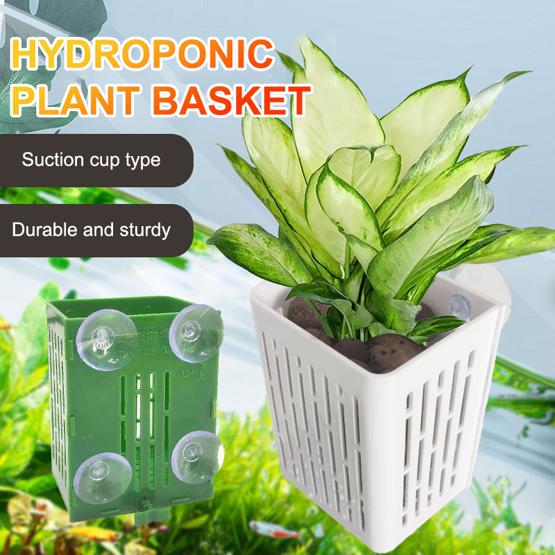 Gancho de ventosa colgante, so - Planted Aquarium Aquascape reseña y precio