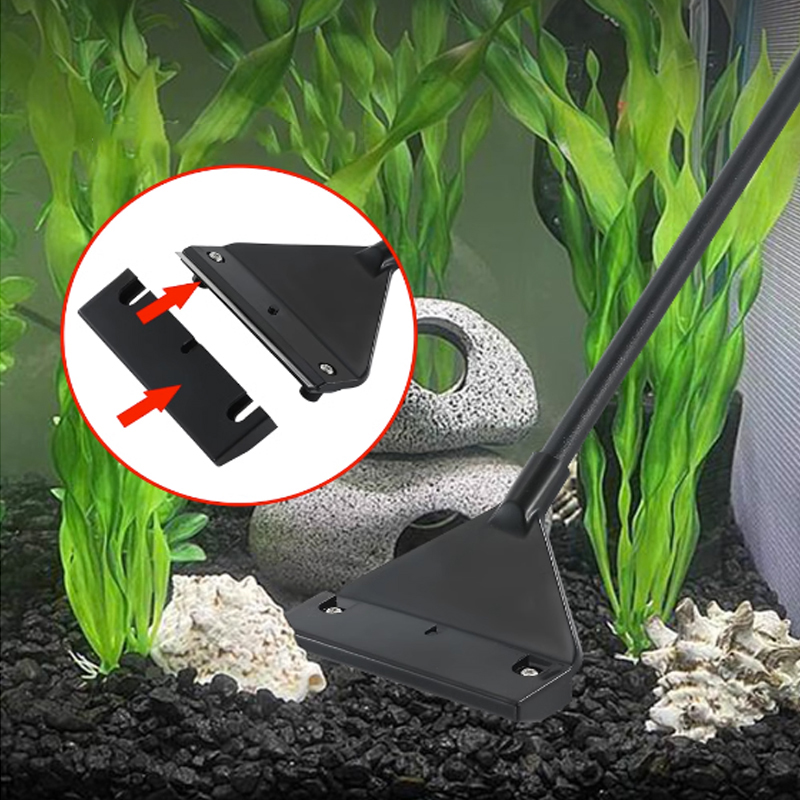 Raspador de Acero Inoxidable p - Planted Aquarium Algae reseña y precio