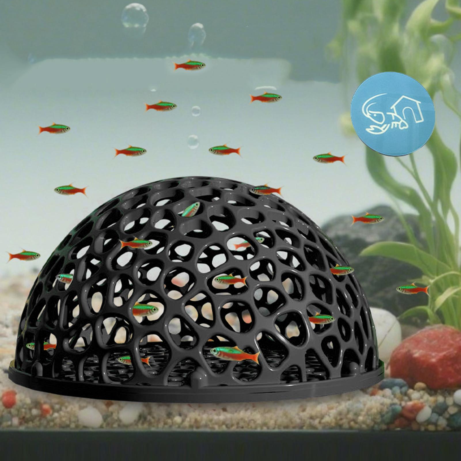 Refugio de cueva oculta para a - Aquarium Plant Rings reseña y precio