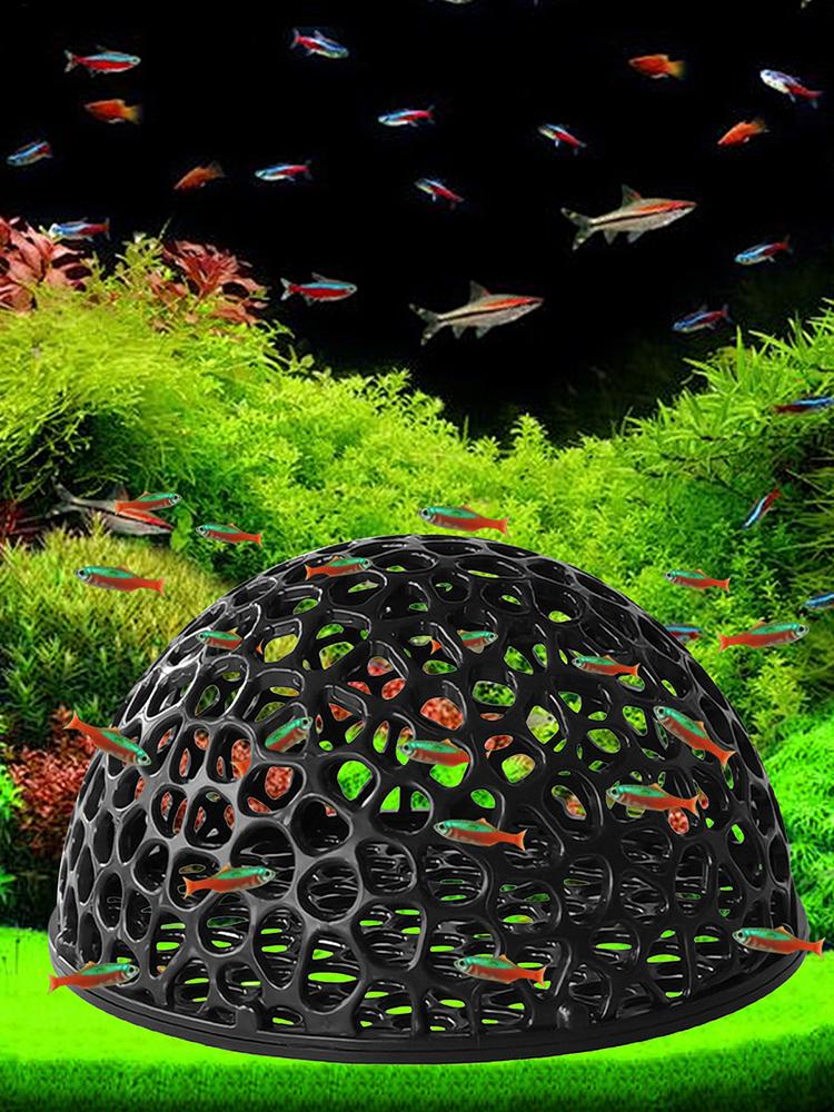 Refugio de cueva oculta para a - Aquarium Plant Rings reseña y precio