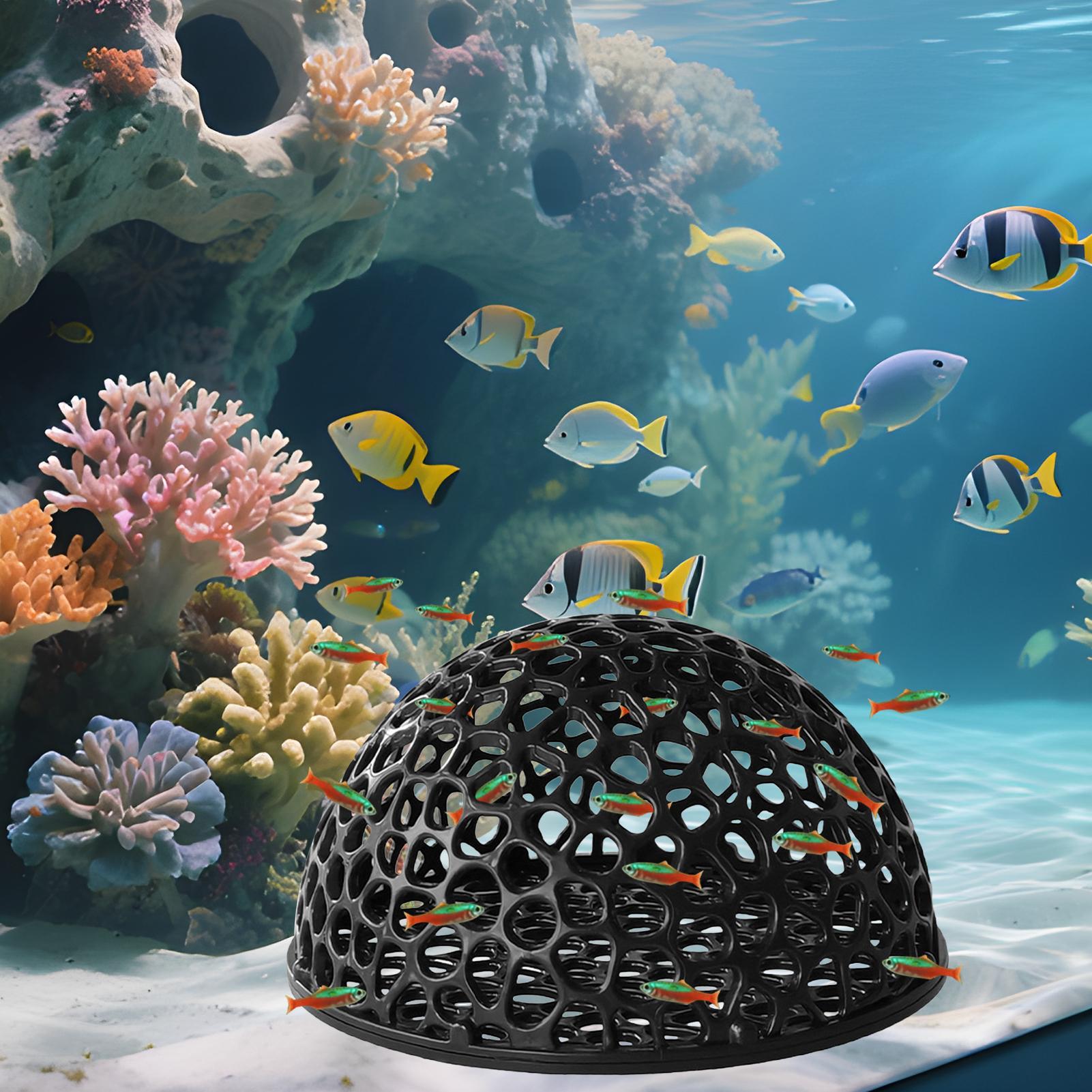 Refugio de cueva oculta para a - Aquarium Plant Rings reseña y precio