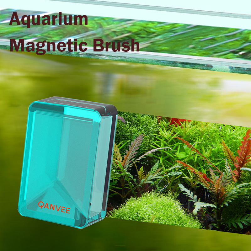 Qanvee cepillo magnético para  - Planted Aquarium Algae reseña y precio