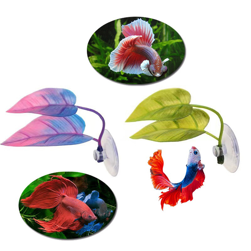 Planta Acuática Artificial par - Planted Aquarium Betta reseña y precio