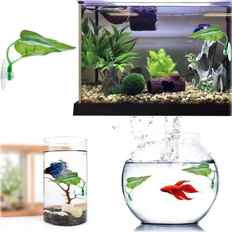 Planta Acuática Artificial par - Planted Aquarium Betta reseña y precio
