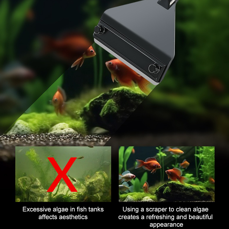 Removedor de algas para acuari - Planted Aquarium Algae reseña y precio
