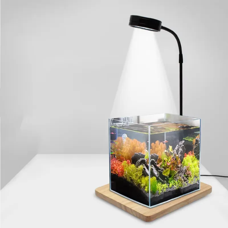 Luz LED de Espectro Completo c - Planted Aquarium Betta reseña y precio