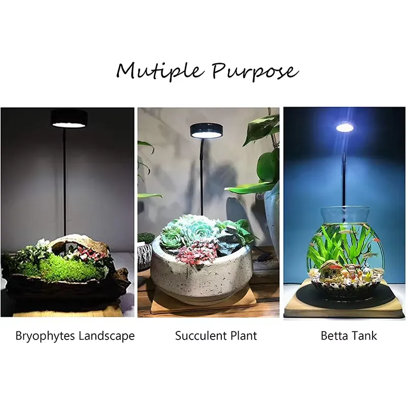 Luz LED de Espectro Completo c - Planted Aquarium Betta reseña y precio