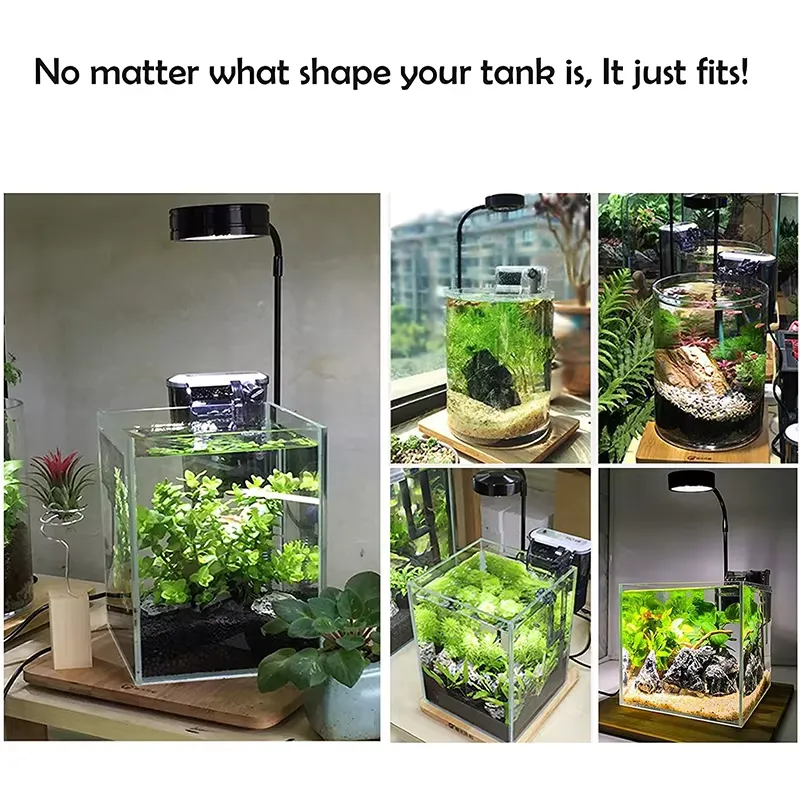 Luz LED de Espectro Completo c - Planted Aquarium Betta reseña y precio