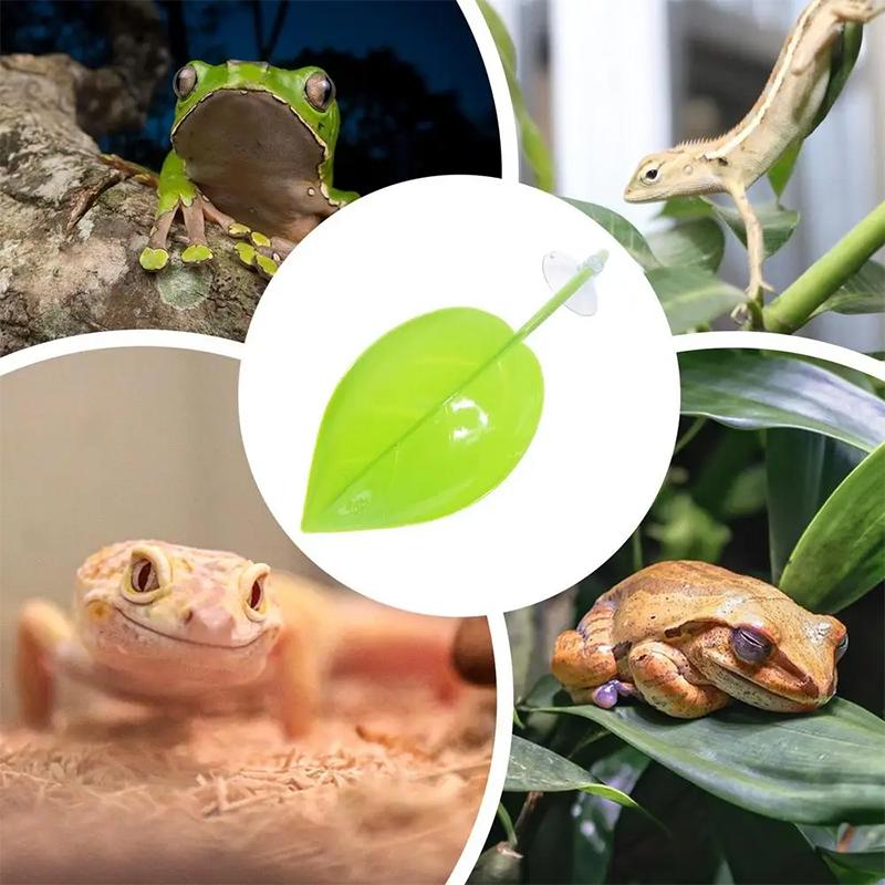 Accesorios para Acuarios: Hoja - Planted Aquarium Betta reseña y precio
