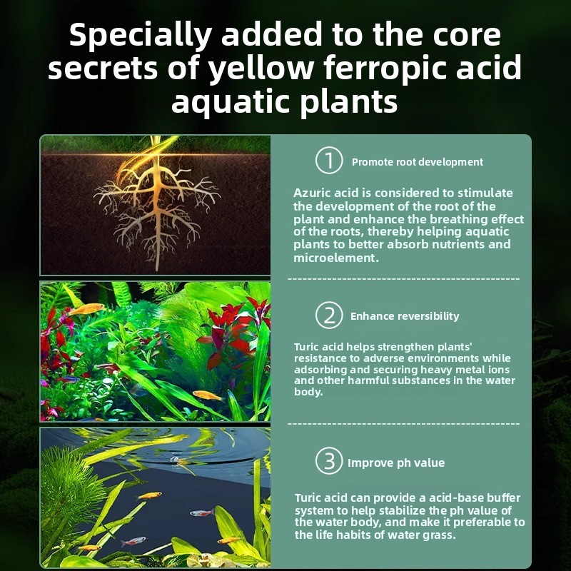 Fertilizante para plantas de a - Planted Aquarium Carpet Plant reseña y precio