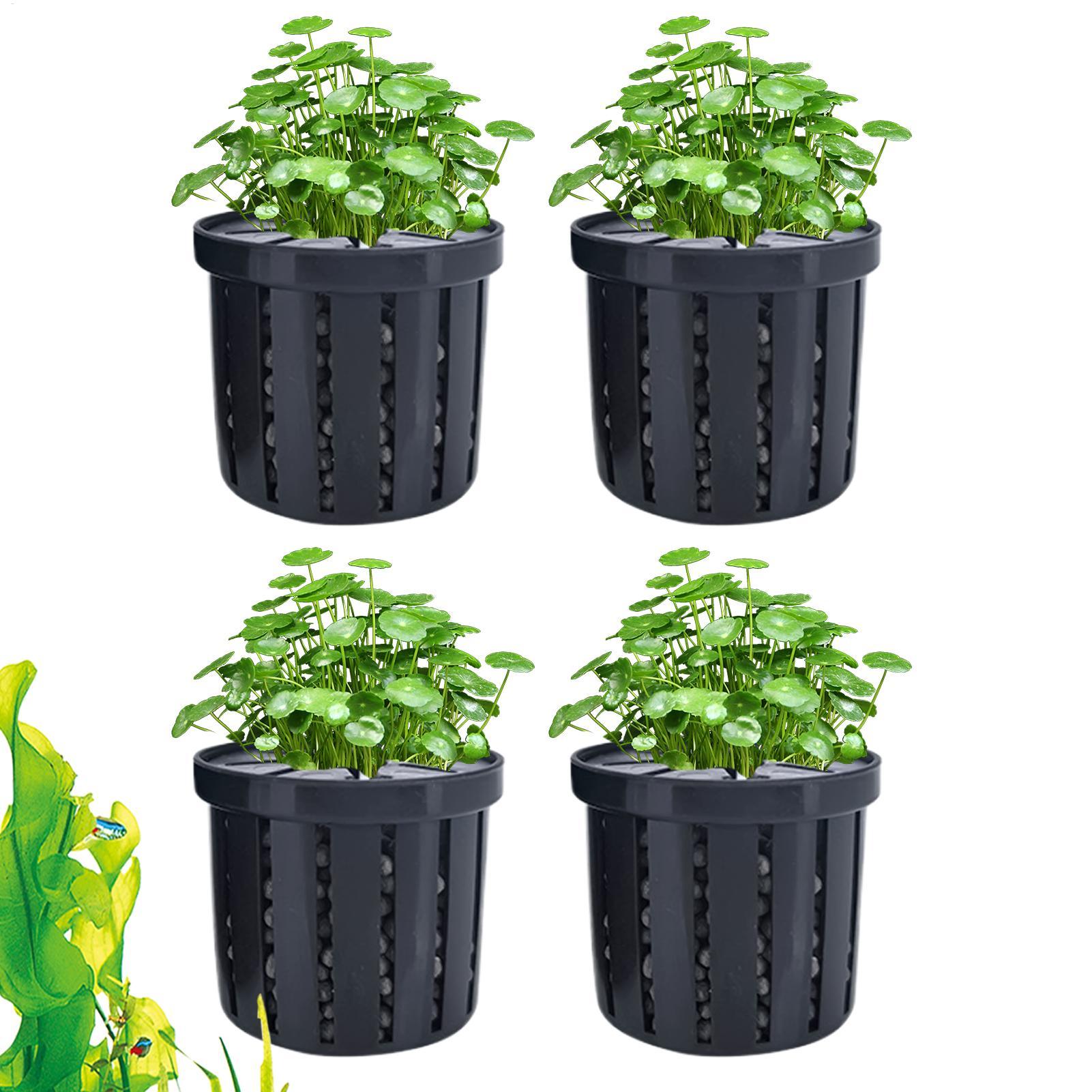 Maceta para acuario de 4 pieza - Aquarium Plant Rings reseña y precio