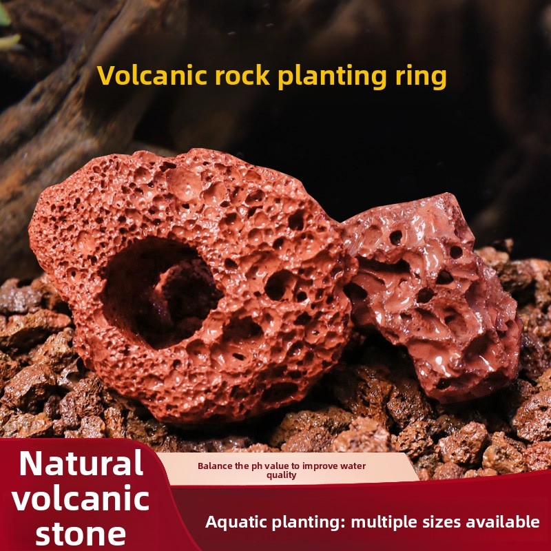 Anillo de Roca Volcánica Roja  - Planted Aquarium Carpet Plant reseña y precio