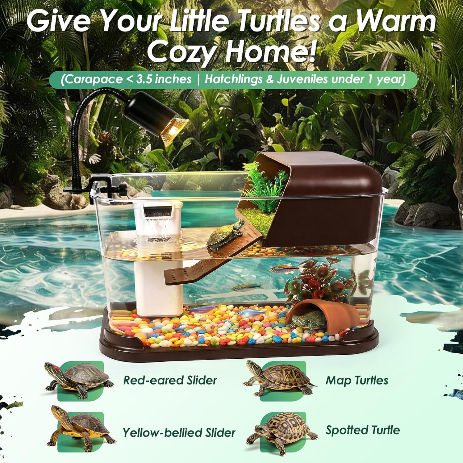 Kit de Inicio para Tortugas, A - Planted Aquarium Starter Kit reseña y precio