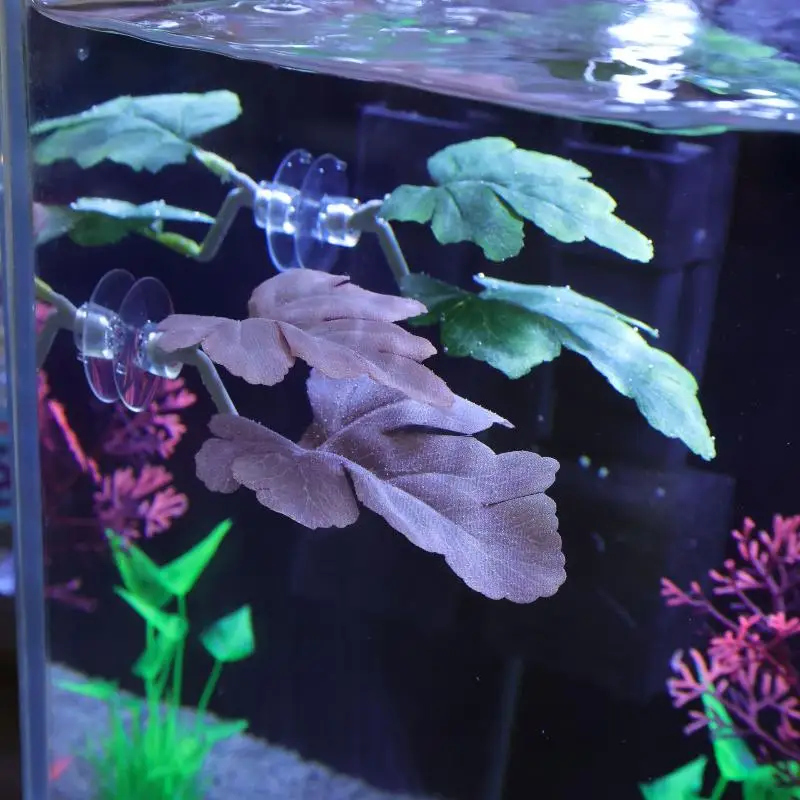 Hamaca de hojas de pescado Bet - Planted Aquarium Betta reseña y precio
