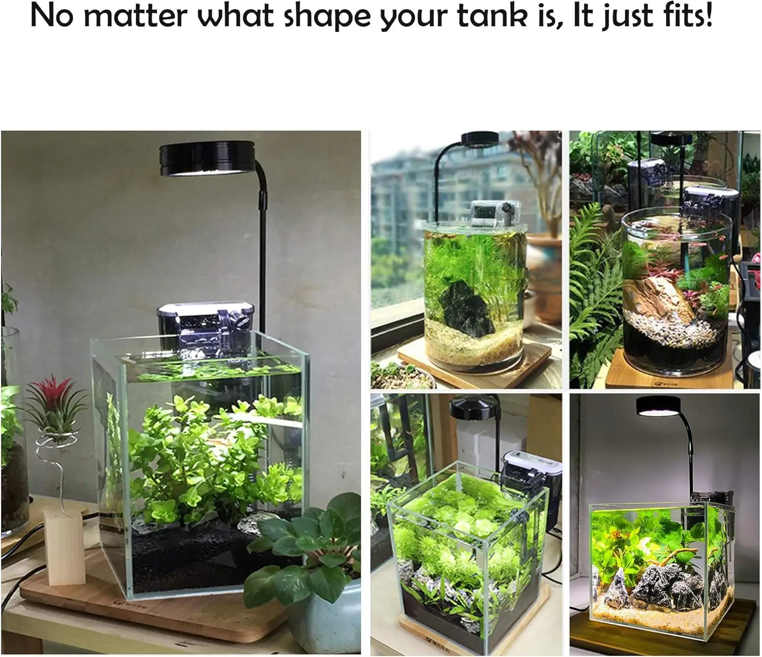 Luz LED para cultivo de acuari - Planted Aquarium Betta reseña y precio