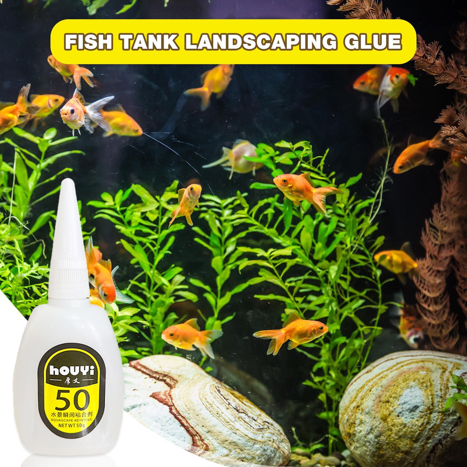 Pegamento instantáneo transpar - Planted Aquarium Aquascape reseña y precio