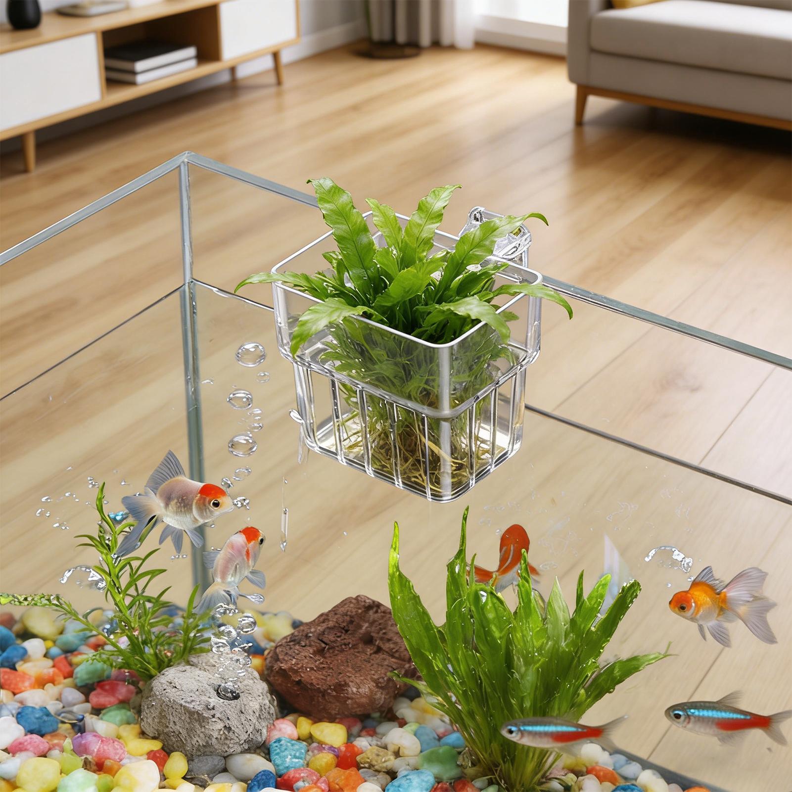 Maceta Transparente Colgante p - Aquarium Plant Rings reseña y precio