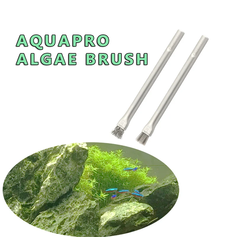 Aquapro-cepillo de limpieza pa - Planted Aquarium Algae reseña y precio