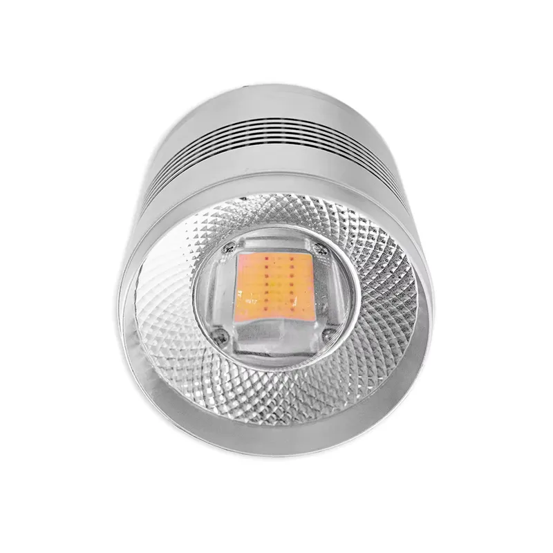 Lámpara LED para Acuario de 70 - Planted Aquarium Algae reseña y precio