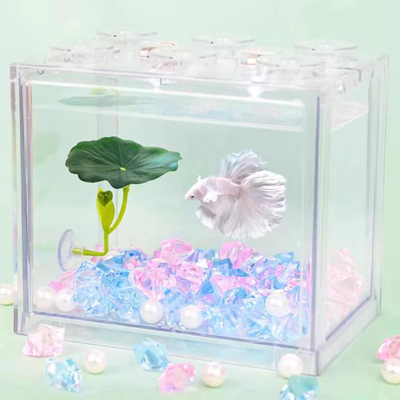 Hamaca para peces Betta con ho - Planted Aquarium Betta reseña y precio