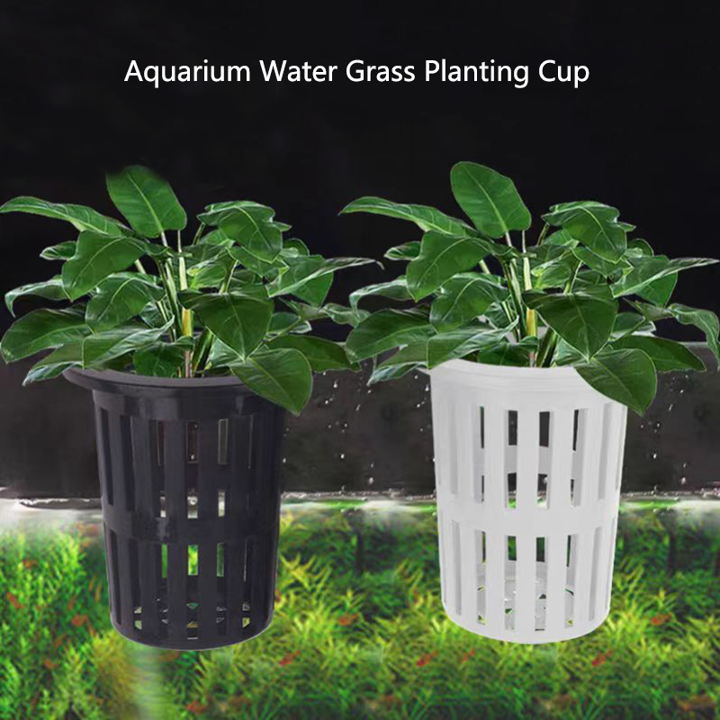 Cesta para plantas de acuario, - Aquarium Plant Rings reseña y precio