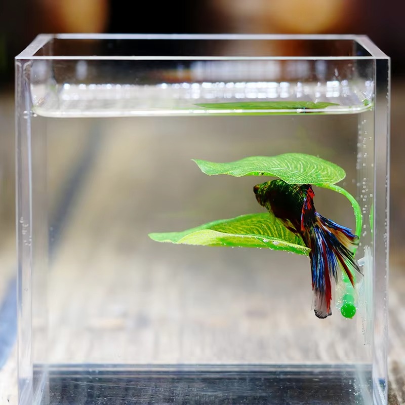Planta Artificial Decorativa p - Planted Aquarium Betta reseña y precio