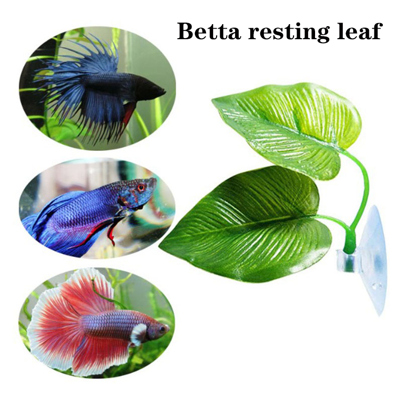Planta Artificial Decorativa p - Planted Aquarium Betta reseña y precio