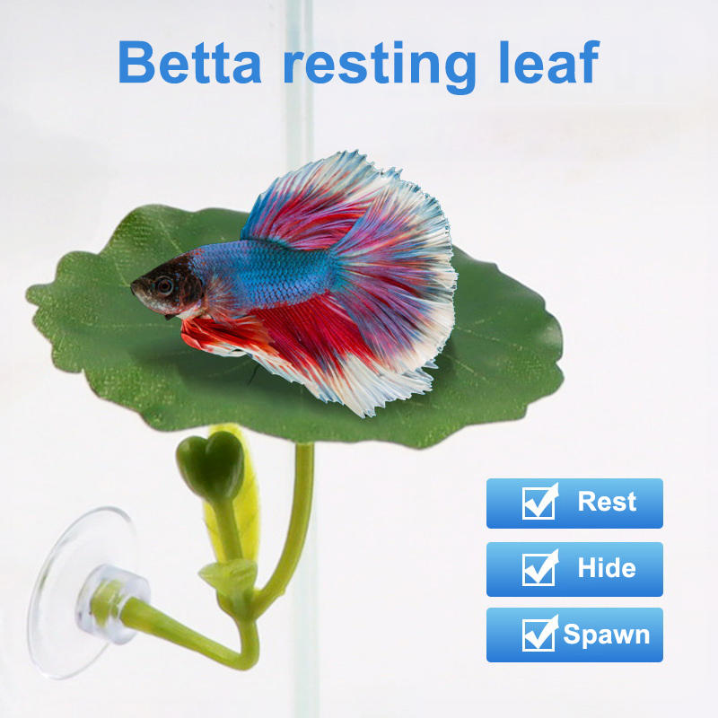 Hamaca de hoja verde para pece - Planted Aquarium Betta reseña y precio