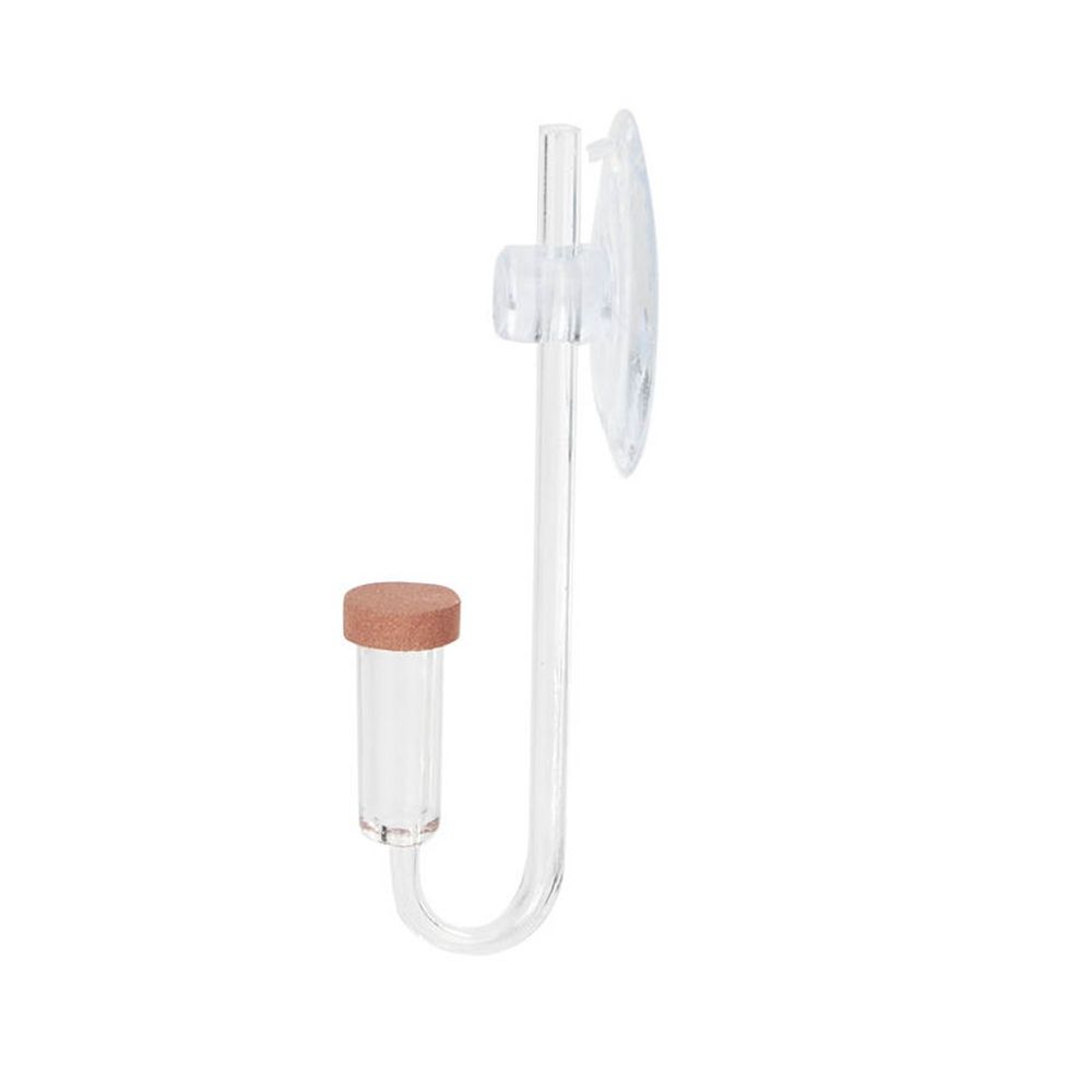 Mini pecera acrílica, planta v - Planted Aquarium Aquascape reseña y precio