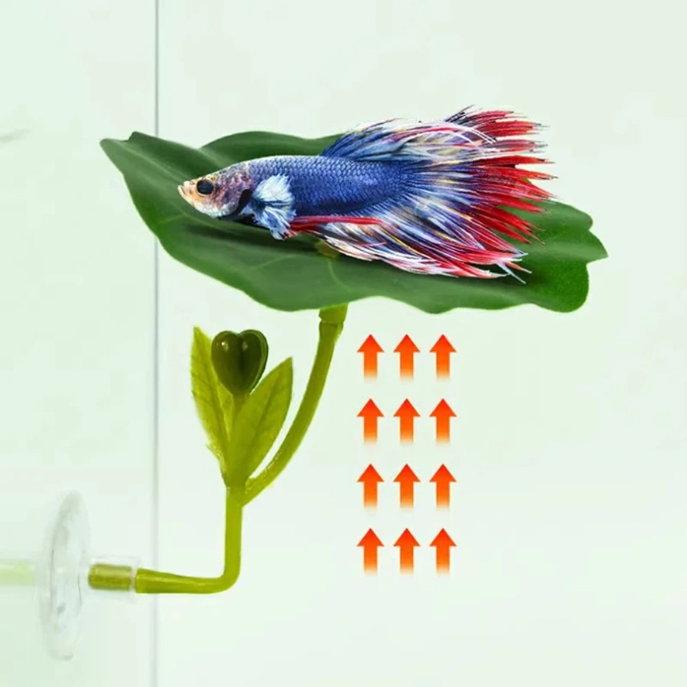 1 pieza de hamaca para peces B - Planted Aquarium Betta reseña y precio