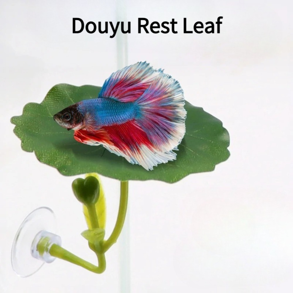 1 pieza de hamaca para peces B - Planted Aquarium Betta reseña y precio