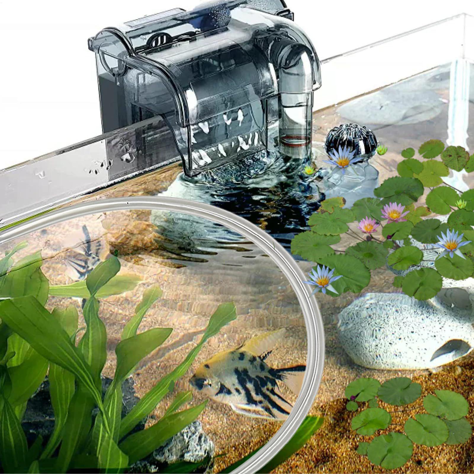 Barrera flotante para plantas  - Planted Aquarium Betta reseña y precio