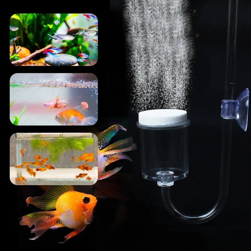 Juego de 4 piezas de difusor d - Planted Aquarium Aquascape reseña y precio